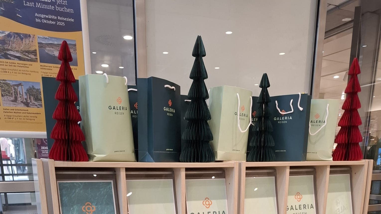 WhatsApp Image 2025-11-06 at 15.50.56a